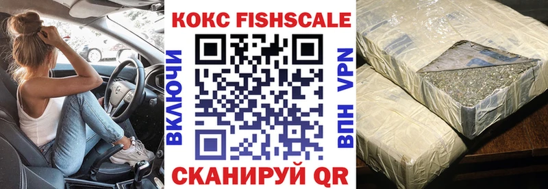 Cocaine FishScale  МЕГА зеркало  Заозёрный 