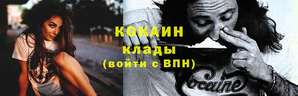 крисы Горнозаводск