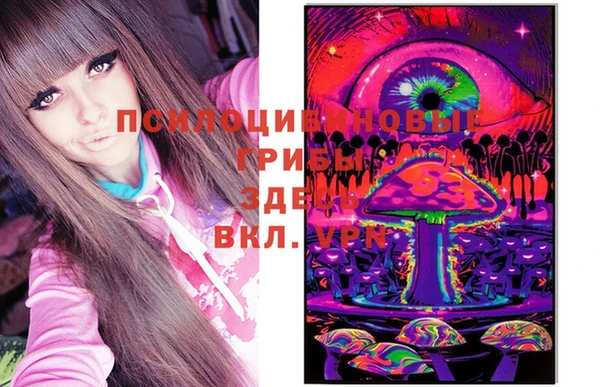 apvp Вязьма