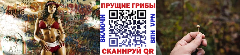 ссылка на мегу ONION  Заозёрный  Псилоцибиновые грибы мицелий 