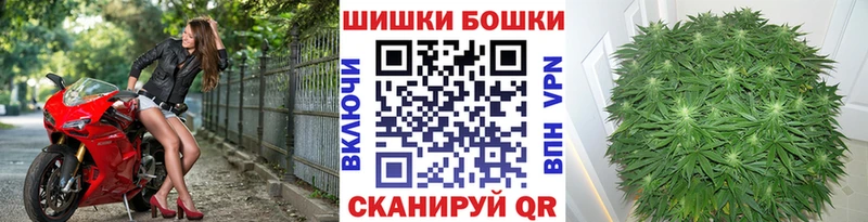 Каннабис сатива  наркошоп  Заозёрный 